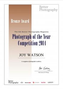 Artist Joy Watson Receives 5 Bronze Awards